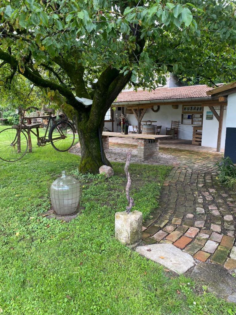 Ferienhaus Antau